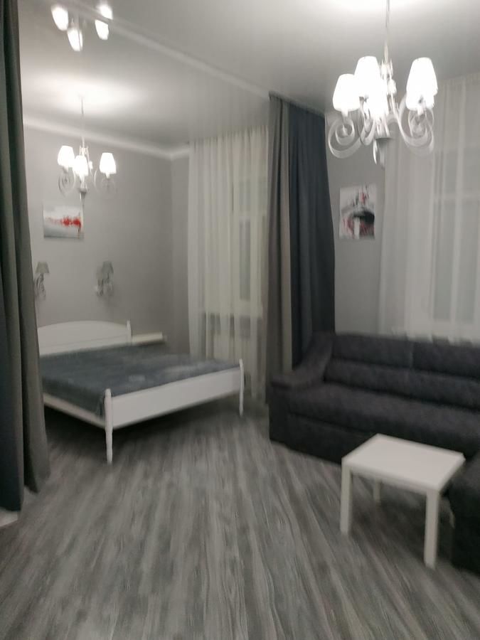 Апартаменты Квартира-студия в самом центре VASO2 Гомель